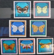 Fauna zwierzęta motyle owady Mongolia