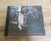 Lenny Kravitz – Are You Gonna Go My Way