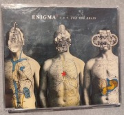 Enigma T.N.T. for the brain 