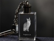 Singapura Cat brelok sześcienny Świecący