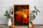 Jesienny plakat - dekoracja - liść