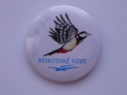 Przypinka metalowa - Frenstat pod Radhostem - beskidzkie niebo - ptak