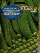 Groch łuskowy "Sześciotygodniowy"