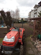 Usługa glebogryzarką separacyjną