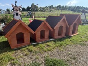 BUDA DLA PSA ocieplana ściągany dach producent 