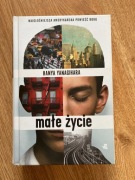 Małe życie - Hanya Yanagihara
