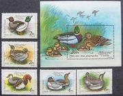 Węgry Mi 3972-76, Blok 199** Kaczki