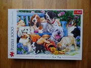 Puzzle 1000 Trefl