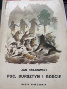 Puc, Bursztyn i Goście 