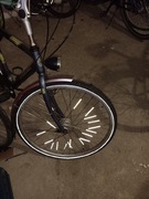 Rower gazelle.      
