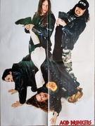 Plakat ACID DRINKERS z 1999 r. - Format A2 - NOWY!