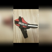 SZELKLI PSA UPRZĄŻ JULIUS-K9 nr3 XL 80-115cm/50mm