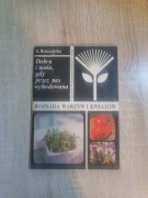 Rozsada warzyw i kwiatów - Dobra i tania, gdy przez nas wyhodowana (50)