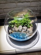 Las w szkle z imitacją wody, prezent na Walentynki