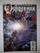 PETER PARKER SPIDER-MAN Vol.2 #34, 2001