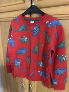 Bluza dziecięca dla chłopca