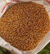 Groch połówki opakowanie 25kg 