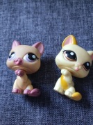 Dwa koty shothair lps 