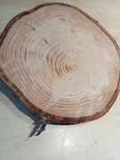 Świerk plaster drewna krążek 3szt + 1 gratis 30-35 cm gr 2cm szlifowane