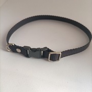 Obroża regulowana dla kota regulowana 25 cm