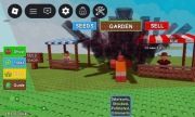 31B Ember Lily z mutacjami  Grow a garden/Roblox