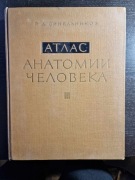R.D. Sinelnikov: Atlas anatomii człowieka III