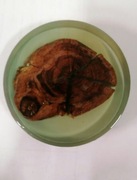 Podstawka pod filiżankę,  kubek , świeczkę, zywica