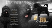 Reproduktor  - Czarny terier Rosyjski