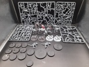 Warhammer 40k 40000 Tyranid Termagants Zestaw