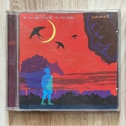 CAMEL A Nod and a Wink