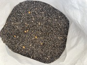 Słonecznik prosto z gospodarstwa!!