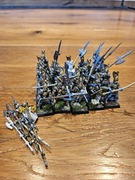 21 phoenix guard, metal, oop