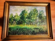 OBRAZ olejny pejzaż sygnowany oprawiony