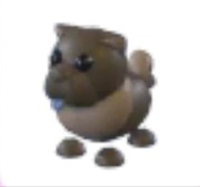 Chocolate Chow Chow - Adopt Me Roblox