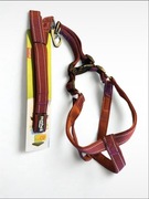 Czerwona smycz z karabińczykiem