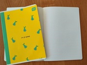 Zeszyt A5 16 kartek  kratka