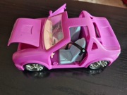 Auto polly pocket