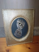 Ramka z stopką skrzydła motyla Caligo 