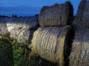 Słoma w balotach 150 cm 2 letnia