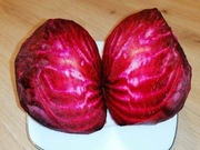 Burak ćwikłowy ,, czerwona kula 2 '"