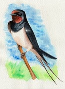 Obraz recznie malowany, oryginalny, akwarela, Jaskółka