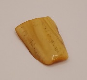 Bursztyn bałtycki - bryłka