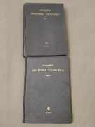 Anatomia człowieka dr.Adam Bochenek PZWL 1952