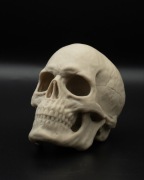 Czaszka 3D – Ozdoba do terrarium | PLA bezpieczne dla zwierząt ROZMIAR M