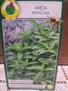 Mięta pieprzowa nasiona