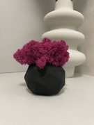 Doniczka betonowa z chrobotkiem