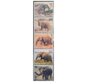 Fauna zwierzęta ssaki słonie Niger