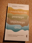 Daniel Tammet, Urodziłem się pewnego błękitnego dnia