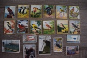 Znaczki , obrazki z lat 30 - 40 tych , - Ptaki plus gratis..
