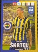 PANINI UPDATE 2017 FIFA 365 TEAM MATE FENERBAHCE SK SKRTEL UE85